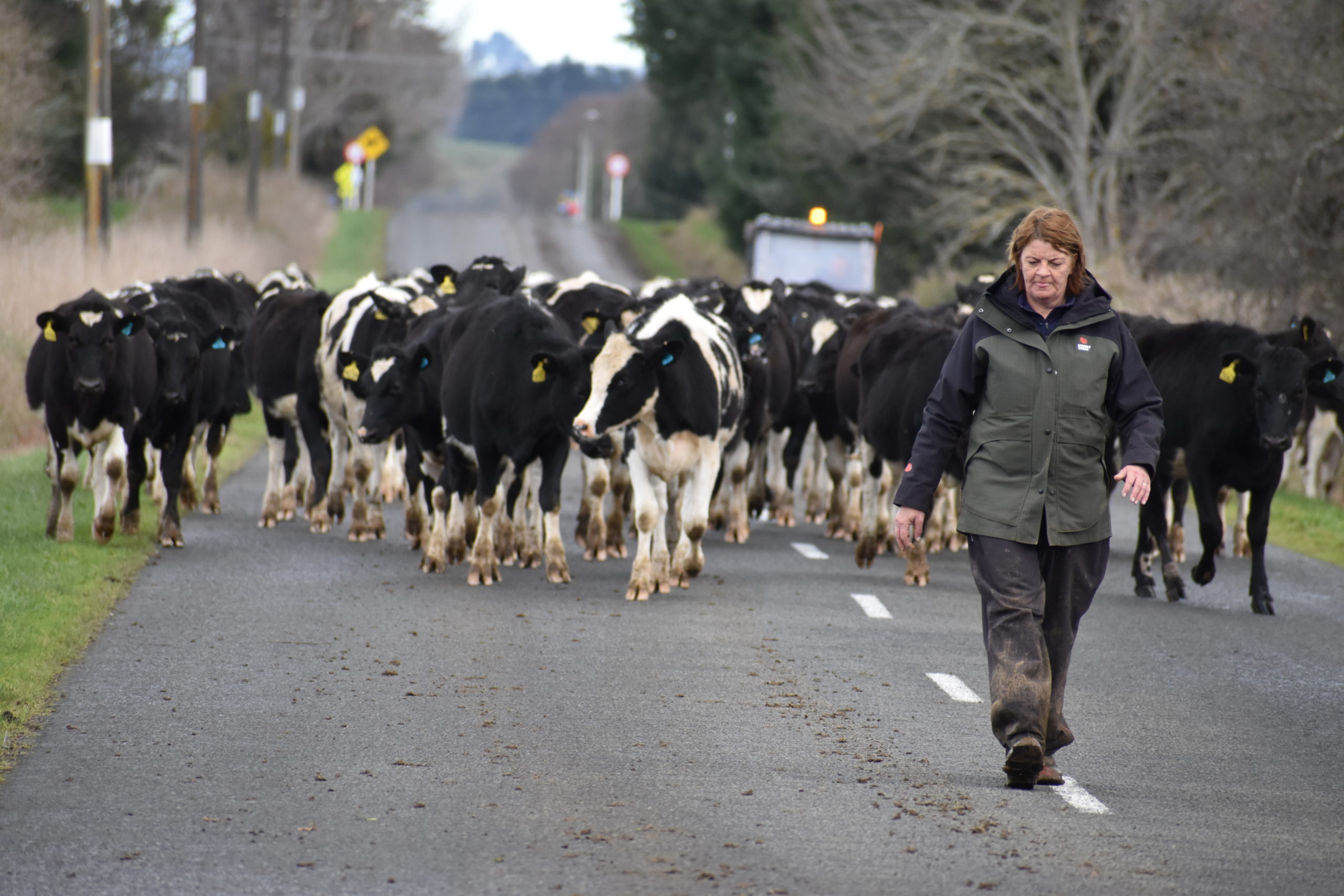 Linda calmly leads the way.