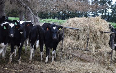 Is The Cost of Grazing Going Up?