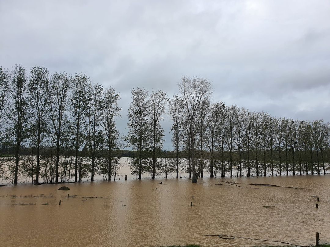 Floods AK