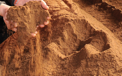 Winter Feeding Heifers: The Benefits of Palm Kernel Extract Over Winter Crops