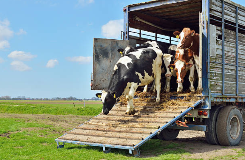 April/May Changeover – Working Together for Success